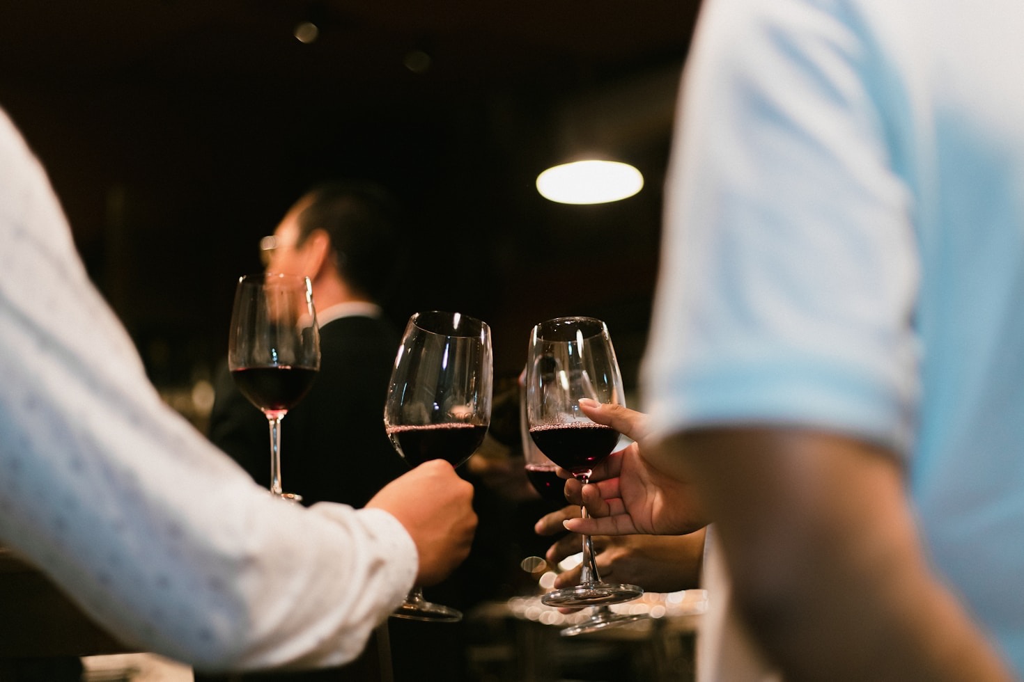 Wine Pairing Basics: Enhancing Your Culinary Experience
