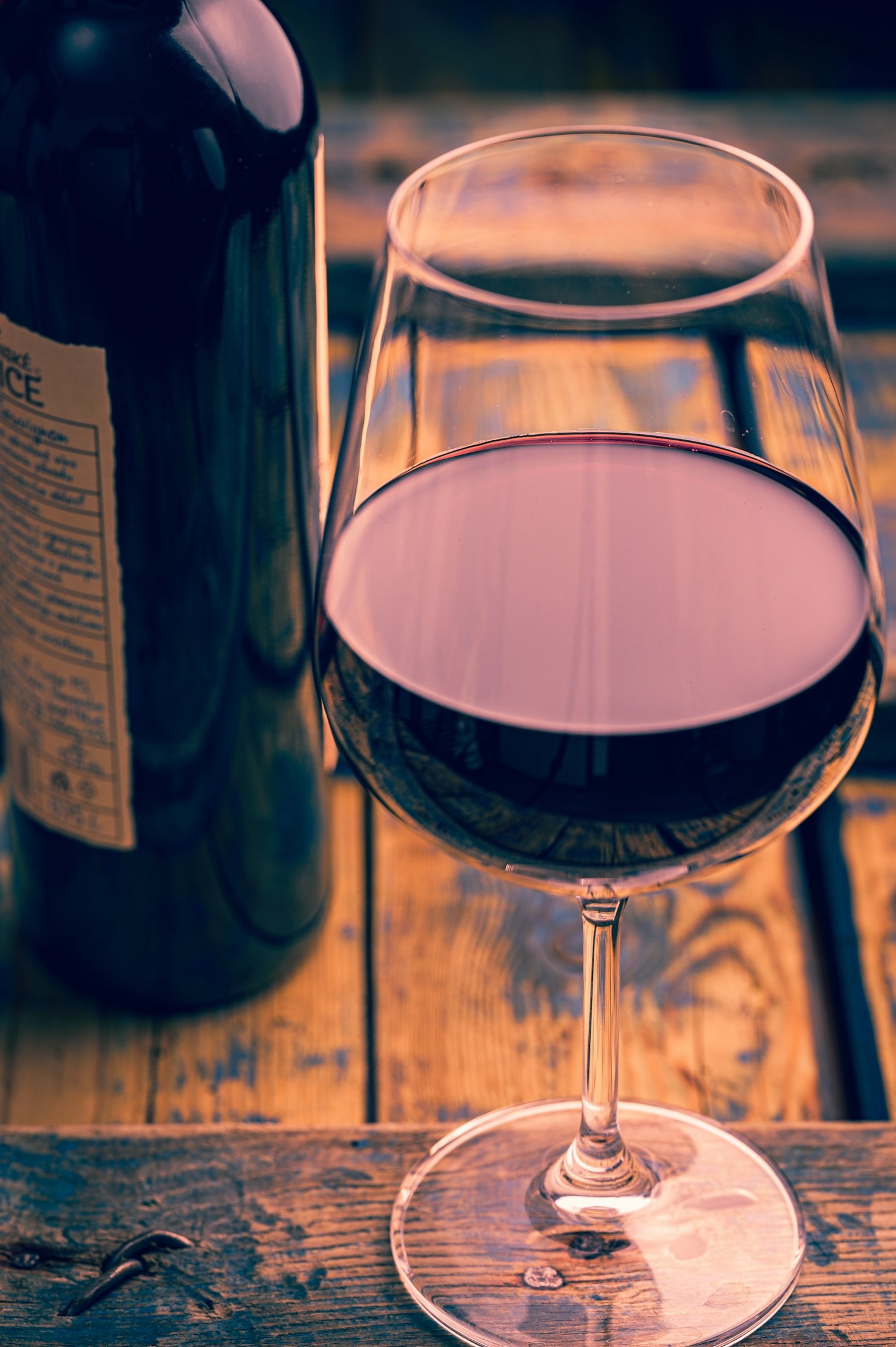 The Best Way to Start Your Wine Education Journey